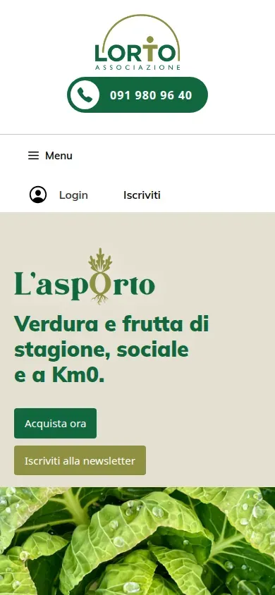 The Orto site on a phone